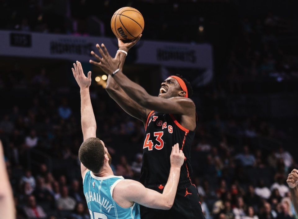 猛龙击败黄蜂，保持胜利势头的简单介绍