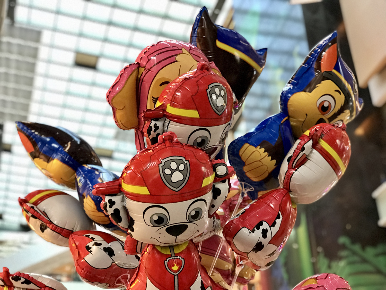 开云下载-长沙黄牛队击败宁波海盗队,实力凸显