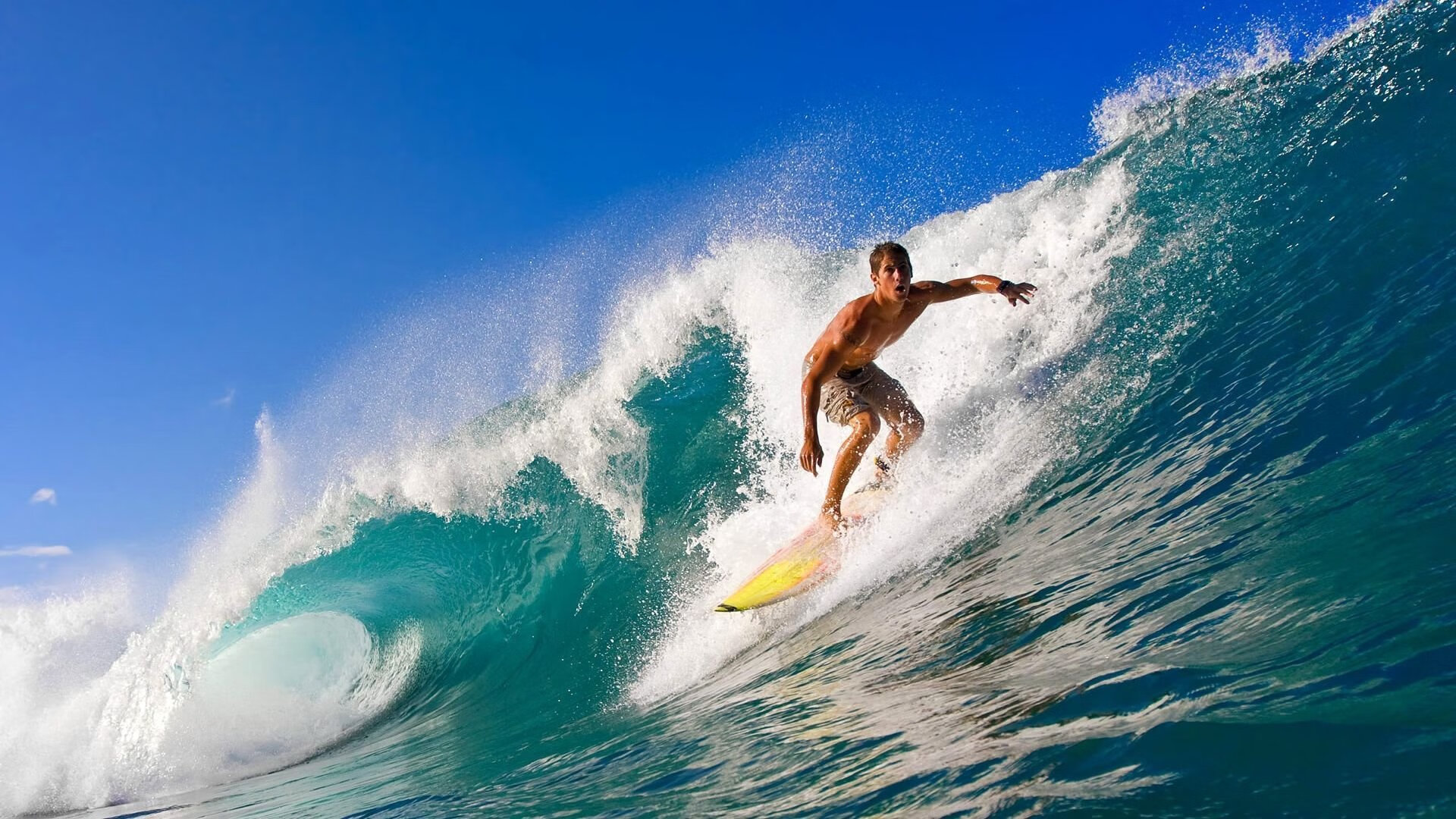 开云体育APP下载-魔术逆转灰熊，锡安成为关键先生